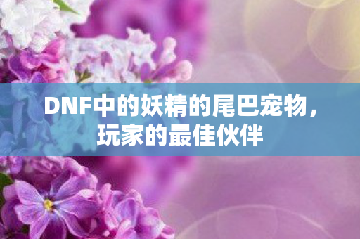 DNF中的妖精的尾巴宠物，玩家的最佳伙伴