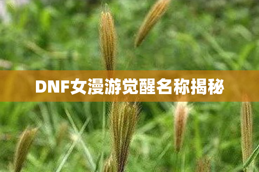 DNF女漫游觉醒名称揭秘 DNF女漫游觉醒名称揭秘