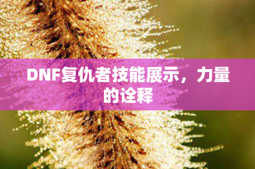 DNF复仇者技能展示，力量的诠释