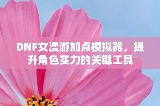 DNF女漫游加点模拟器,提升角色实力的关键工具 DNF女漫游加点模拟器,提升角色实力的关键工具