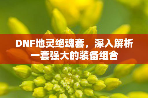 DNF地灵绝魂套,深入解析一套强大的装备组合 DNF地灵绝魂套,深入解析一套强大的装备组合