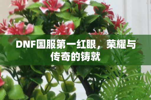 DNF国服第一红眼，荣耀与传奇的铸就