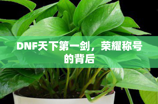 DNF天下第一剑,荣耀称号的背后 DNF天下第一剑,荣耀称号的背后