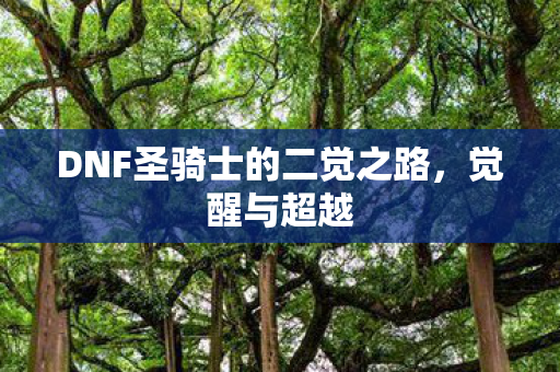 DNF圣骑士的二觉之路,觉醒与超越 DNF圣骑士的二觉之路,觉醒与超越