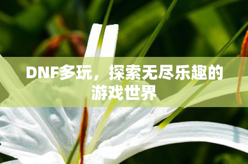 DNF多玩,探索无尽乐趣的游戏世界 DNF多玩,探索无尽乐趣的游戏世界
