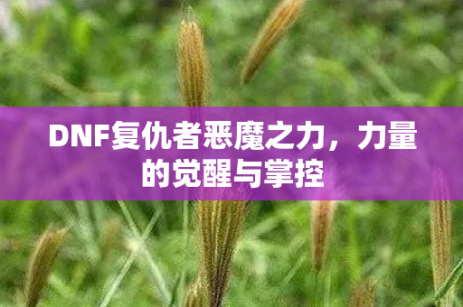 DNF复仇者恶魔之力,力量的觉醒与掌控 DNF复仇者恶魔之力,力量的觉醒与掌控