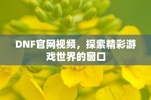 DNF官网视频，探索精彩游戏世界的窗口