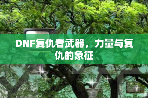 DNF复仇者武器，力量与复仇的象征