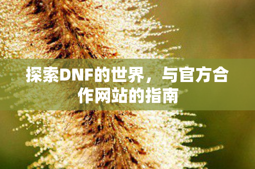 探索DNF的世界,与官方合作网站的指南 探索DNF的世界,与官方合作网站的指南