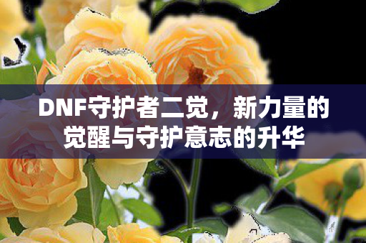 DNF守护者二觉，新力量的觉醒与守护意志的升华