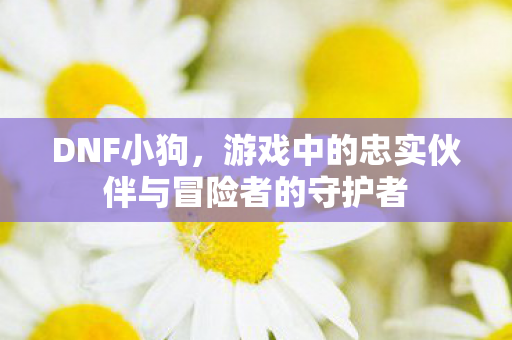DNF小狗,游戏中的忠实伙伴与冒险者的守护者 DNF小狗,游戏中的忠实伙伴与冒险者的守护者