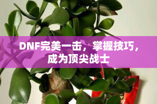 DNF完美一击,掌握技巧,成为顶尖战士 DNF完美一击,掌握技巧,成为顶尖战士