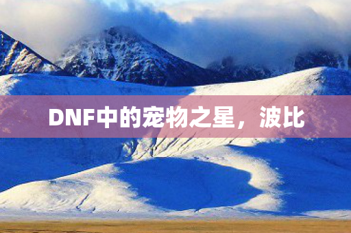 DNF中的宠物之星,波比 DNF中的宠物之星,波比