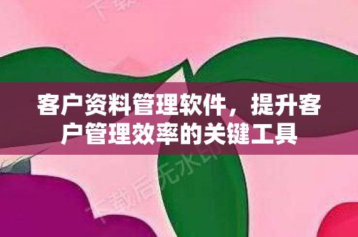 客户资料管理软件,提升客户管理效率的关键工具 客户资料管理软件,提升客户管理效率的关键工具