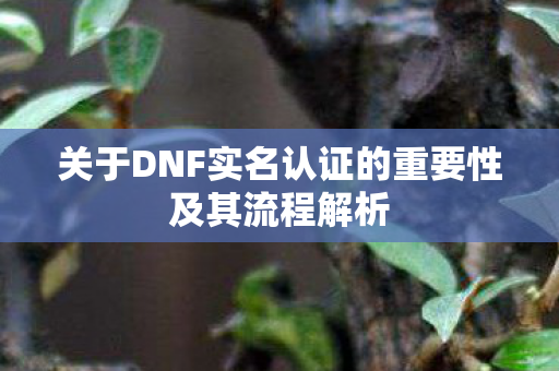 关于DNF实名认证的重要性及其流程解析 关于DNF实名认证的重要性及其流程解析