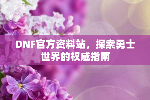 DNF官方资料站,探索勇士世界的权威指南 DNF官方资料站,探索勇士世界的权威指南