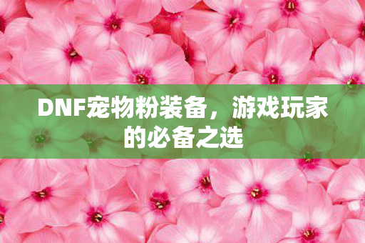 DNF宠物粉装备,游戏玩家的必备之选 DNF宠物粉装备,游戏玩家的必备之选