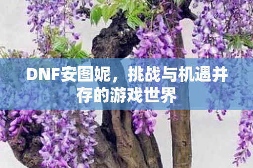 DNF安图妮,挑战与机遇并存的游戏世界 DNF安图妮,挑战与机遇并存的游戏世界
