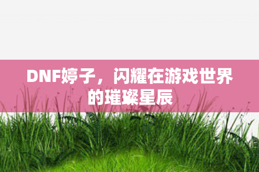 DNF婷子，闪耀在游戏世界的璀璨星辰