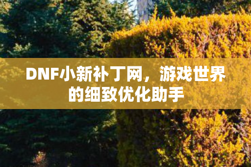 DNF小新补丁网,游戏世界的细致优化助手 DNF小新补丁网,游戏世界的细致优化助手