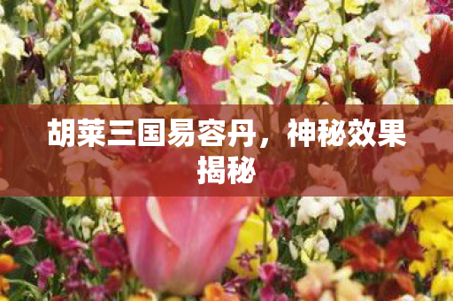 胡莱三国易容丹,神秘效果揭秘 胡莱三国易容丹,神秘效果揭秘