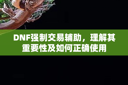 DNF强制交易辅助，理解其重要性及如何正确使用