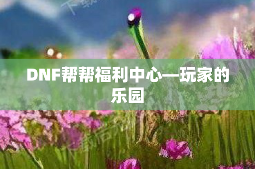 DNF帮帮福利中心—玩家的乐园 DNF帮帮福利中心—玩家的乐园