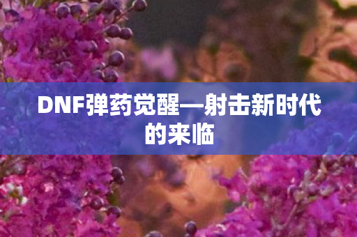 DNF弹药觉醒—射击新时代的来临 DNF弹药觉醒—射击新时代的来临