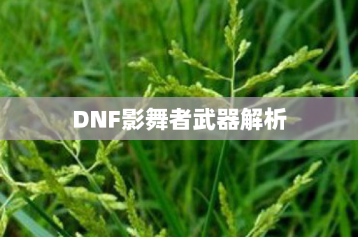 DNF影舞者武器解析 DNF影舞者武器解析