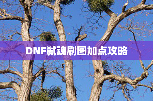 DNF弑魂刷图加点攻略 DNF弑魂刷图加点攻略