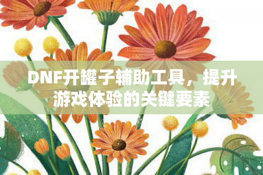 DNF开罐子辅助工具,提升游戏体验的关键要素 DNF开罐子辅助工具,提升游戏体验的关键要素