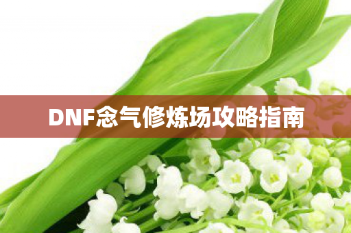 DNF念气修炼场攻略指南 DNF念气修炼场攻略指南