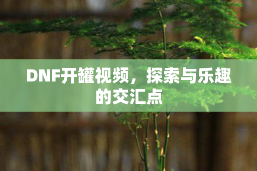 DNF开罐视频，探索与乐趣的交汇点