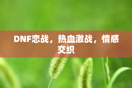 DNF恋战，热血激战，情感交织