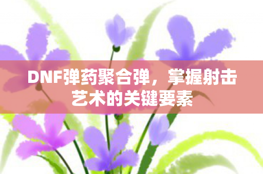 DNF弹药聚合弹,掌握射击艺术的关键要素 DNF弹药聚合弹,掌握射击艺术的关键要素