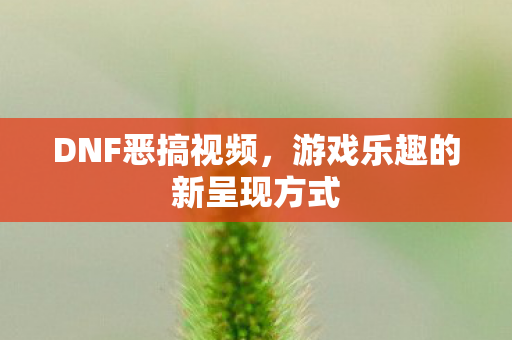DNF恶搞视频,游戏乐趣的新呈现方式 DNF恶搞视频,游戏乐趣的新呈现方式