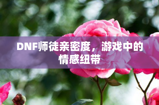 DNF师徒亲密度,游戏中的情感纽带 DNF师徒亲密度,游戏中的情感纽带