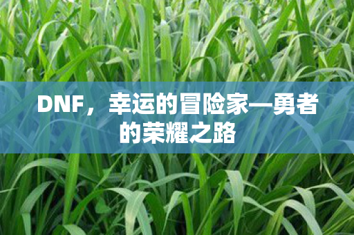 DNF,幸运的冒险家—勇者的荣耀之路 DNF,幸运的冒险家—勇者的荣耀之路