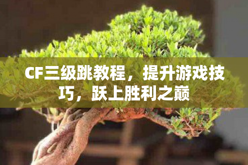 CF三级跳教程,提升游戏技巧,跃上胜利之巅 CF三级跳教程,提升游戏技巧,跃上胜利之巅