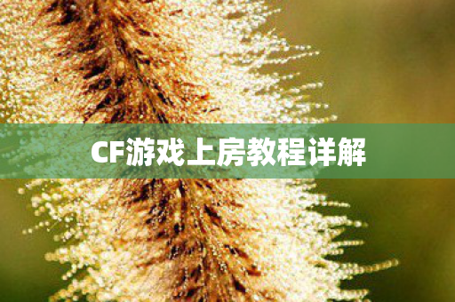 CF游戏上房教程详解 CF游戏上房教程详解