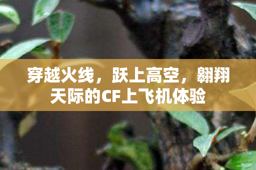 穿越火线,跃上高空,翱翔天际的CF上飞机体验 穿越火线,跃上高空,翱翔天际的CF上飞机体验