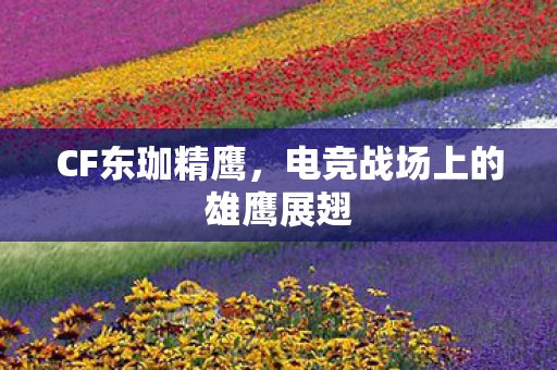 CF东珈精鹰,电竞战场上的雄鹰展翅 CF东珈精鹰,电竞战场上的雄鹰展翅