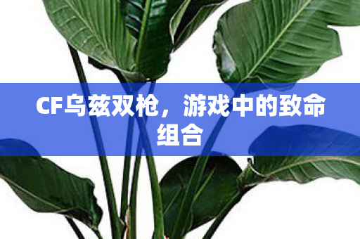 CF乌兹双枪,游戏中的致命组合 CF乌兹双枪,游戏中的致命组合