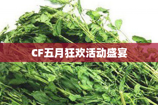 CF五月狂欢活动盛宴 CF五月狂欢活动盛宴