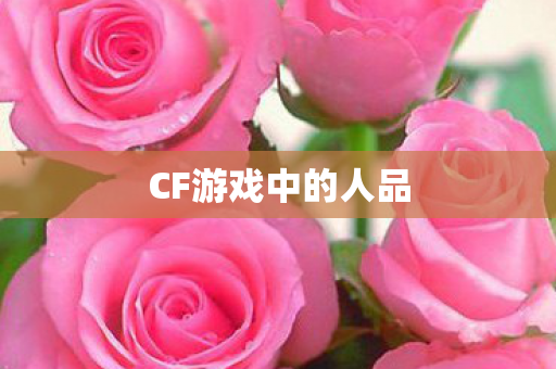 CF游戏中的人品 CF游戏中的人品