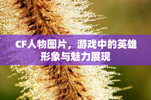 CF人物图片,游戏中的英雄形象与魅力展现 CF人物图片,游戏中的英雄形象与魅力展现