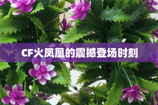 CF火凤凰的震撼登场时刻 CF火凤凰的震撼登场时刻