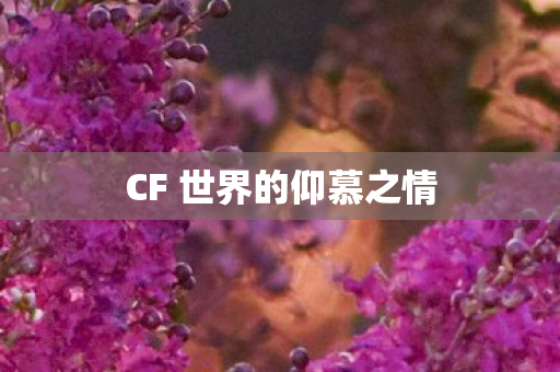 CF 世界的仰慕之情 CF 世界的仰慕之情