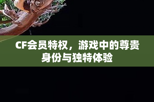 CF会员特权，游戏中的尊贵身份与独特体验