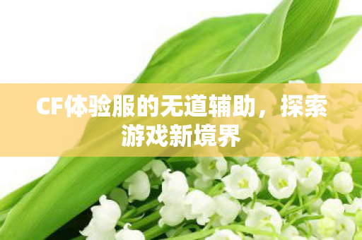 CF体验服的无道辅助，探索游戏新境界